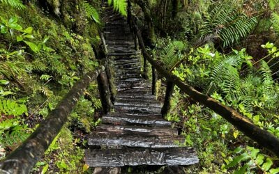 Carretera Austral – The Road to Futaleufu