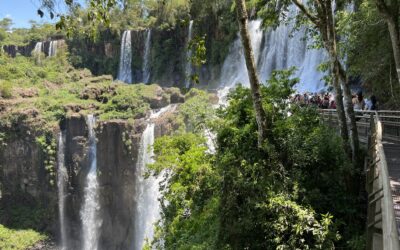 Iguazu Falls and South to Mar Del Plata