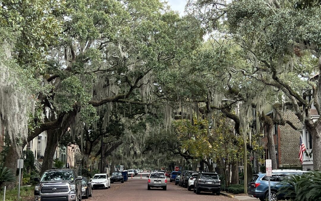 Savannah Street scene