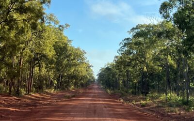 Cairns To Cape York