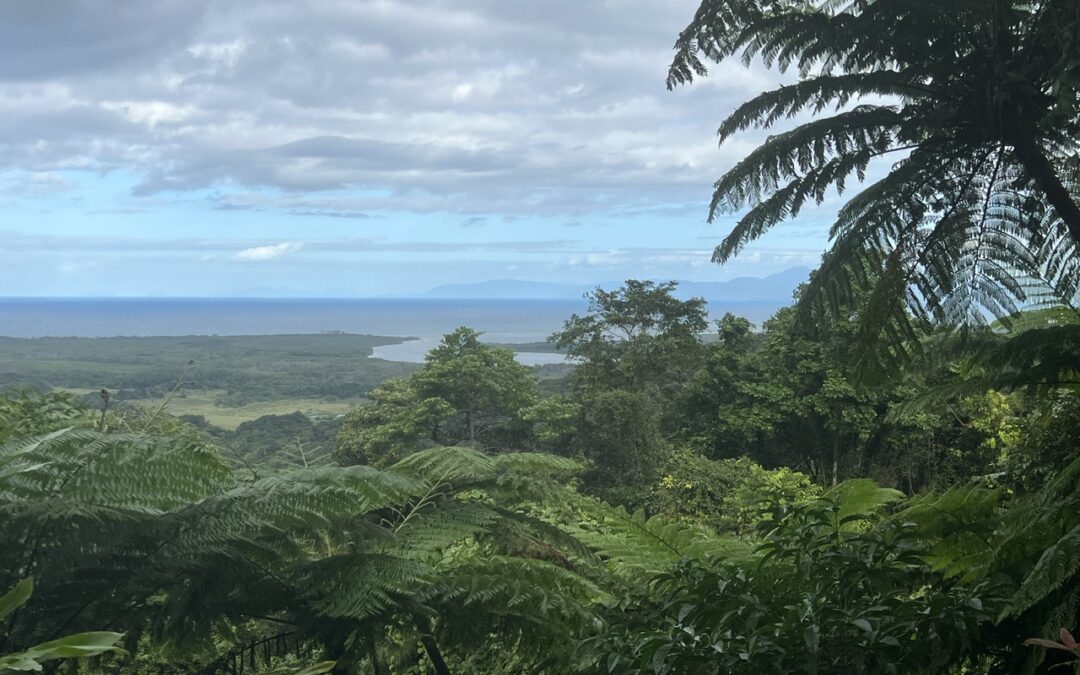 South From Cooktown